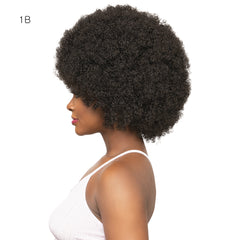 Janet Collection Natural Curly Synthetic Hair Wig - AFRO DEON
