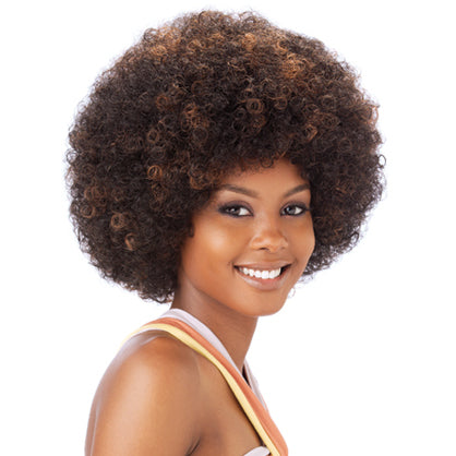 Freetress Equal Synthetic Wig - AFRO MEDIUM