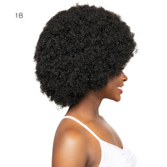 Janet Collection Natural Curly Synthetic Hair Wig - AFRO DEON